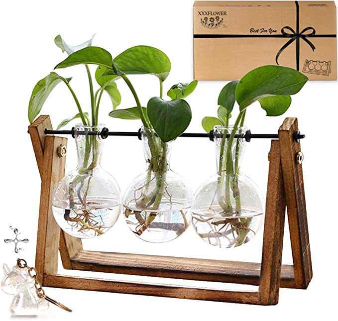 Standing Plant Terrarium |